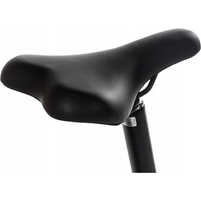 Rower Elektryczny Skladany Snapp City-E Grafit