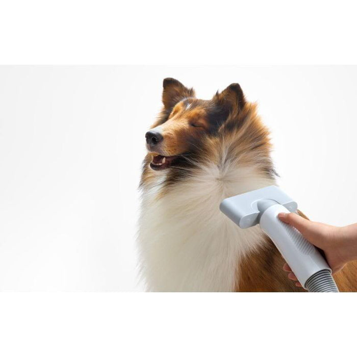 Secador  Homerunpet Pd10  Para Mascotas