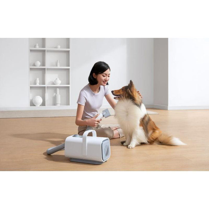 Secador  Homerunpet Pd10  Para Mascotas