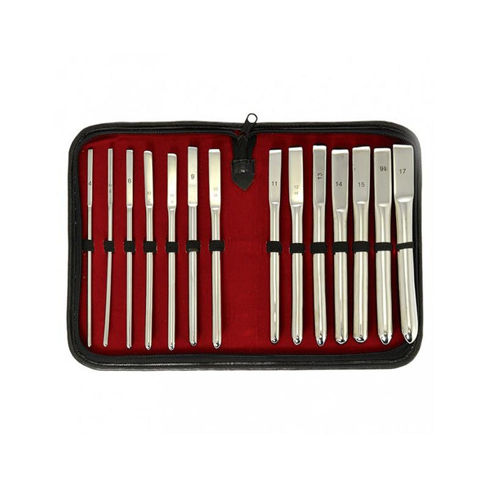 Set De Dilatadores De Uretra 14 Piezas