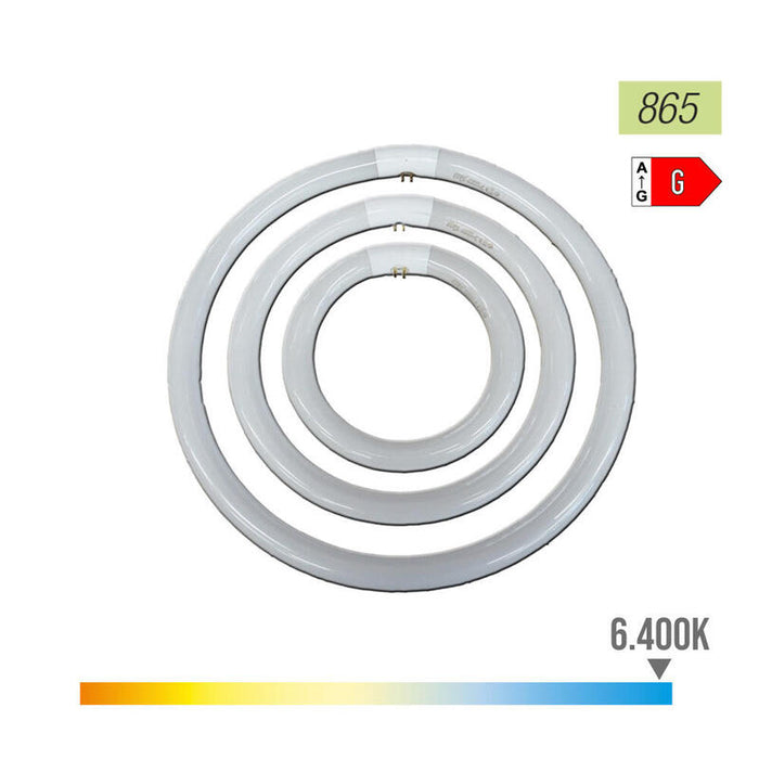 Tubo Fluorescente Pack De 3 Unidades  Circular 32w Ø30cm Trifosforo 865k Luz Fria Philips